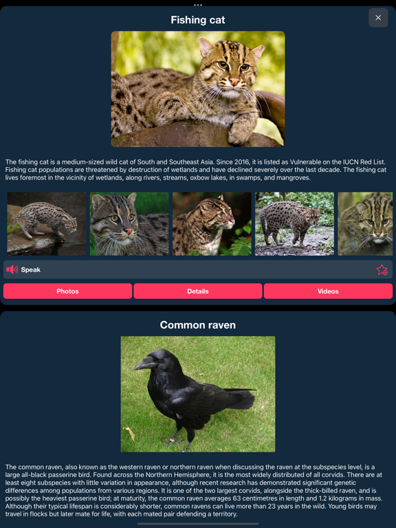Encyclopedia : 25,000+ topic screenshot 8