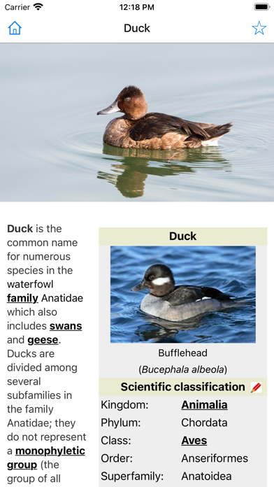 Encyclopedia of Animals screenshot 3