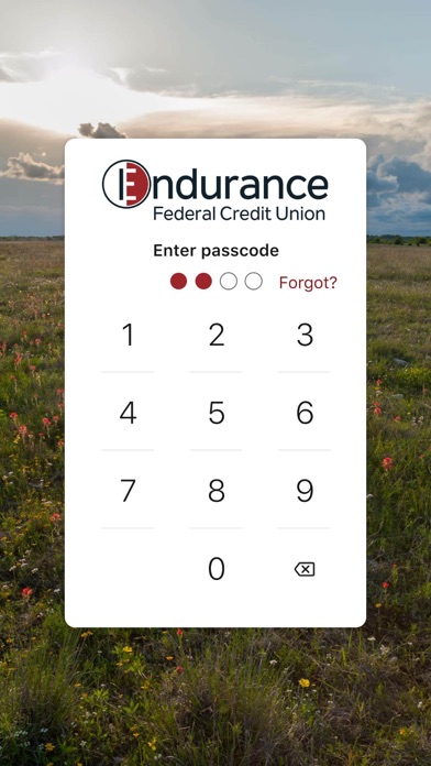 Endurance FCU Mobile screenshot 2
