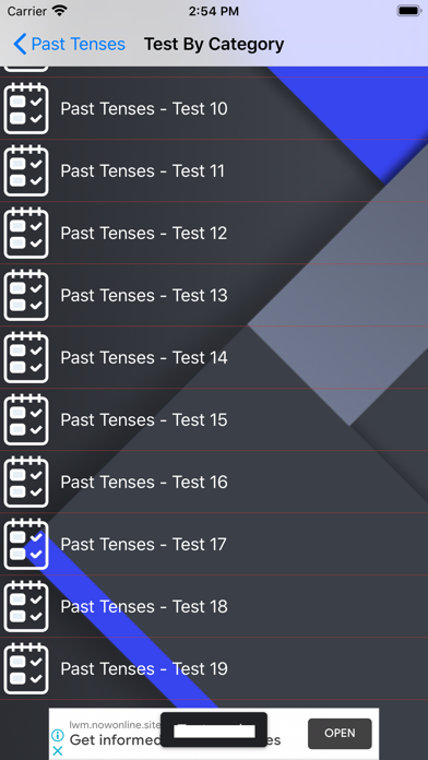 English Grammar in Use & Test screenshot 6