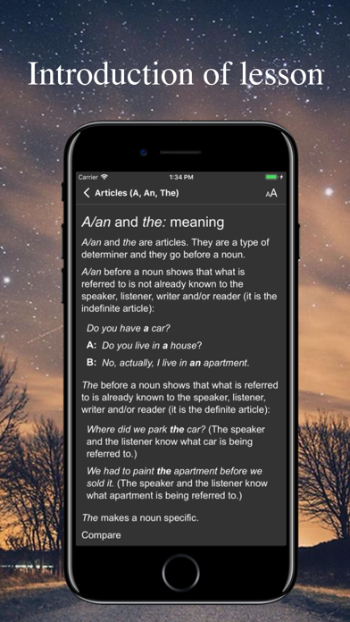 English Grammar Test - Phrases screenshot 2