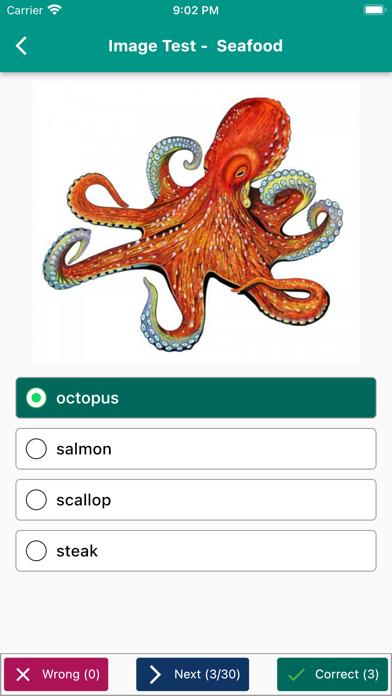 English Vocabulary in Use screenshot 1