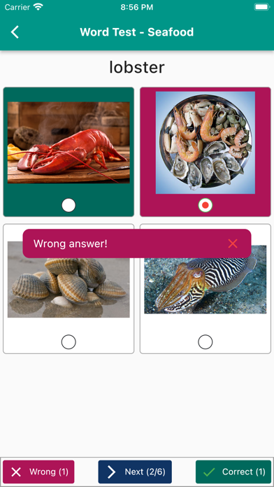 English Vocabulary in Use screenshot 2