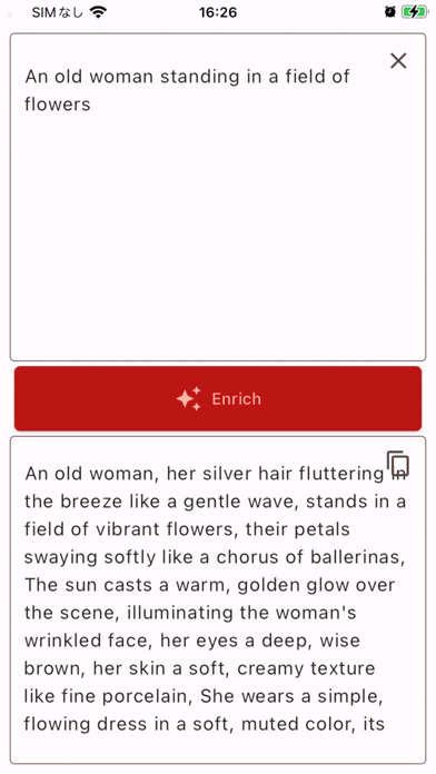 Enrich Prompt screenshot 2