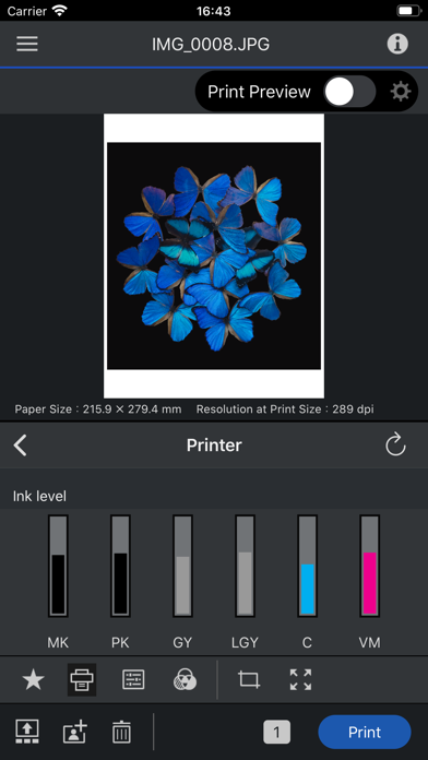 Epson Print Layout screenshot 4