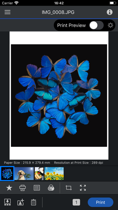 Epson Print Layout screenshot 5