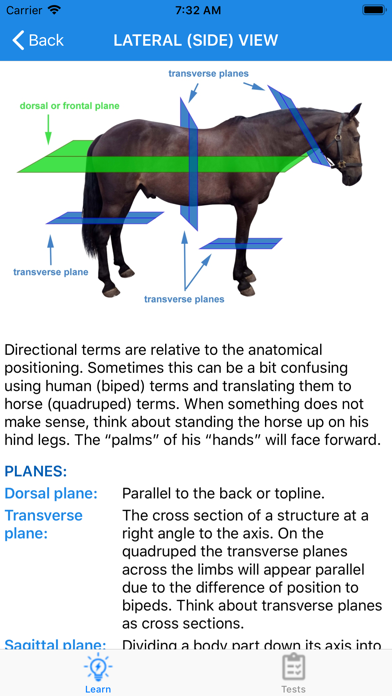Equine Anatomy Learning Aid screenshot 2