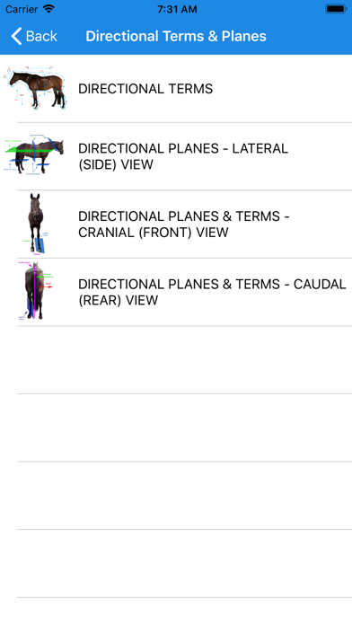 Equine Anatomy Learning Aid screenshot 3