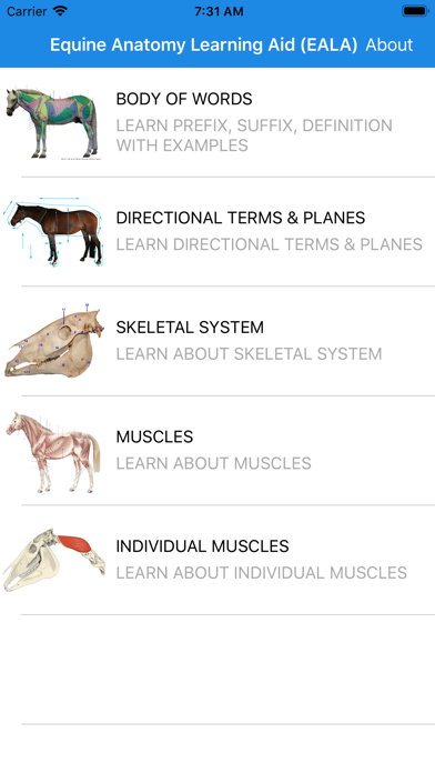 Equine Anatomy Learning Aid screenshot 4