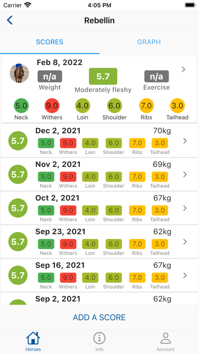 Equine Body Condition Scoring screenshot 2