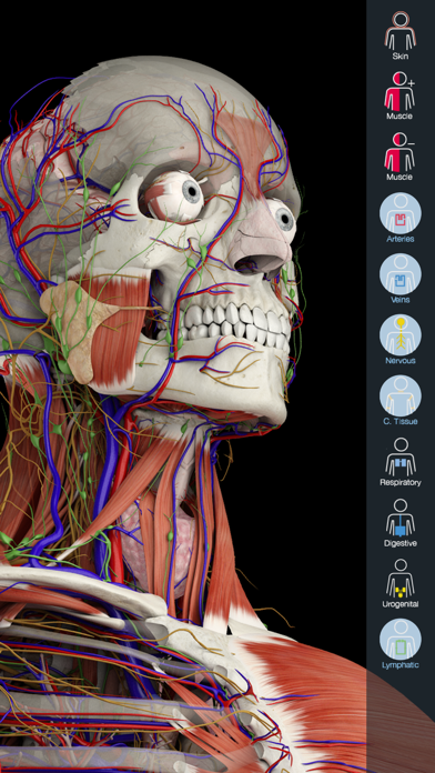 Essential Anatomy 5 screenshot 5