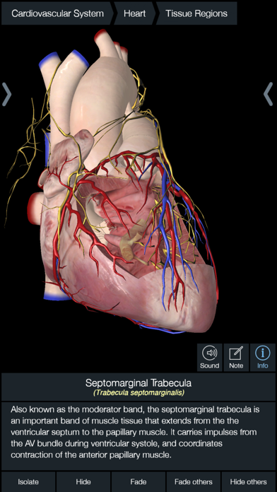 Essential Anatomy 5 screenshot 1