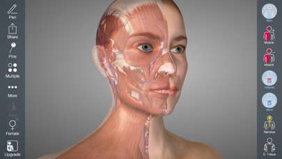 Essential Anatomy 5 screenshot 4