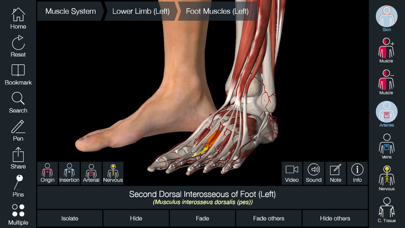 Essential Anatomy 5 screenshot 2