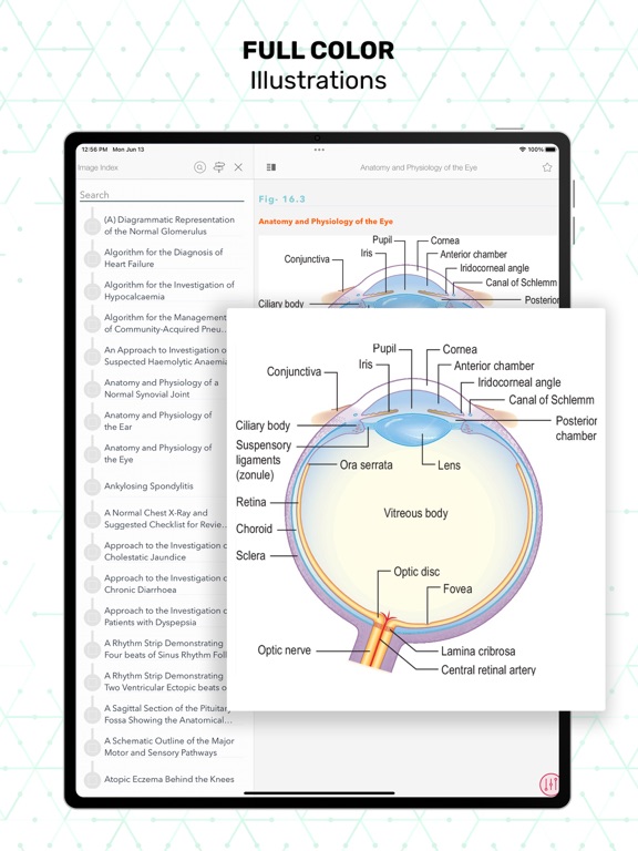 Essentials Clinical Medicine screenshot 8
