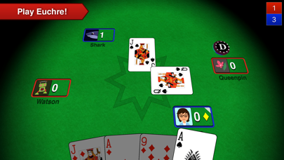 Euchre 3D screenshot 5