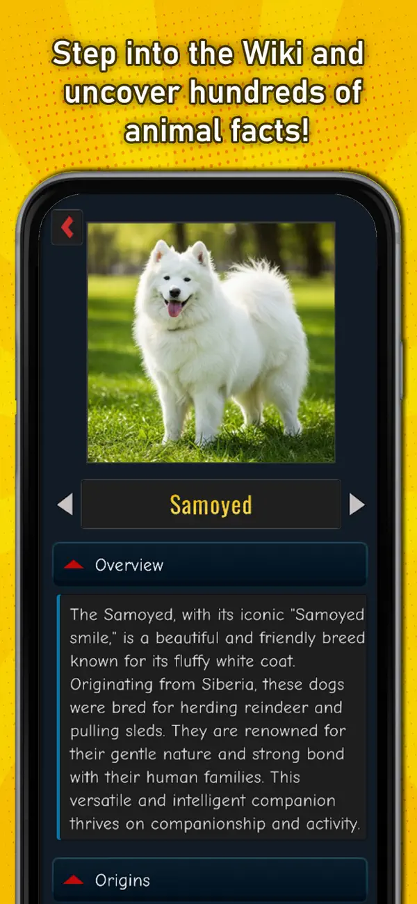 Eugene's AR Wiki: Play & Learn screenshot 5