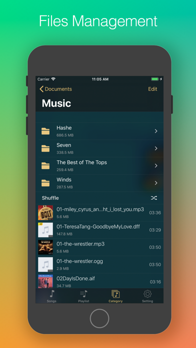 Ever Play - HiFi Music Player screenshot 2
