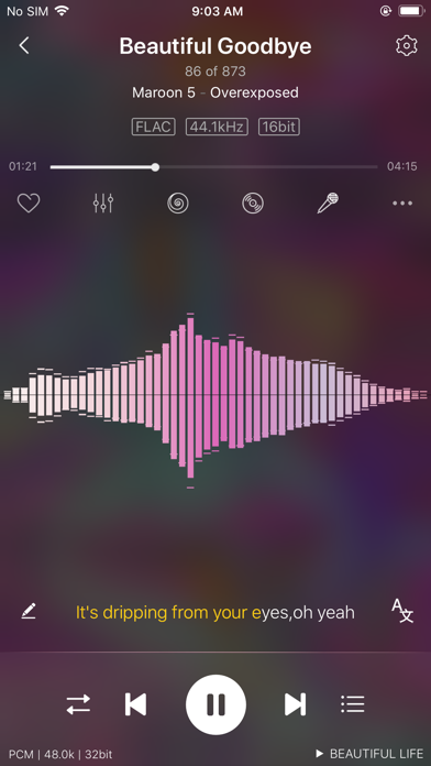 Ever Play - HiFi Music Player screenshot 1