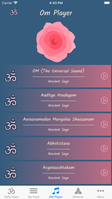 Everyday | Om screenshot 4