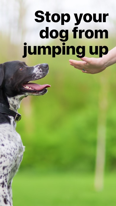 EveryDoggy - Dog Training App screenshot 7