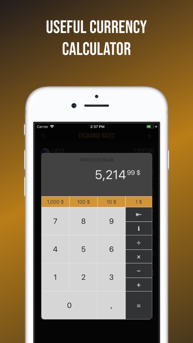 Exchange Rates Converter screenshot 3