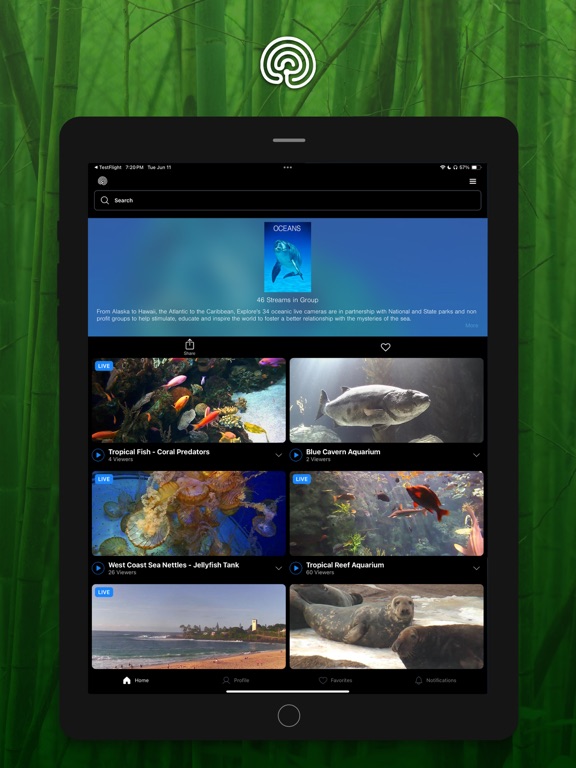 Explore.org: Live Animal Cams screenshot 6