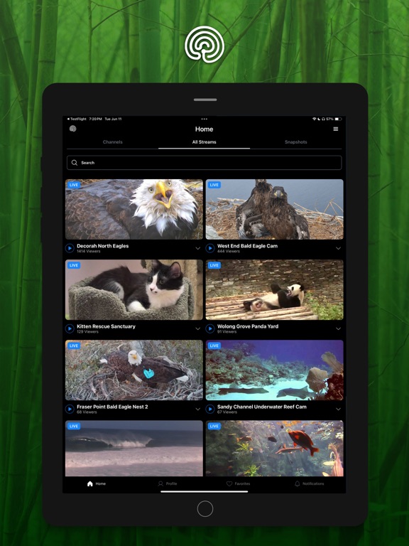 Explore.org: Live Animal Cams screenshot 4