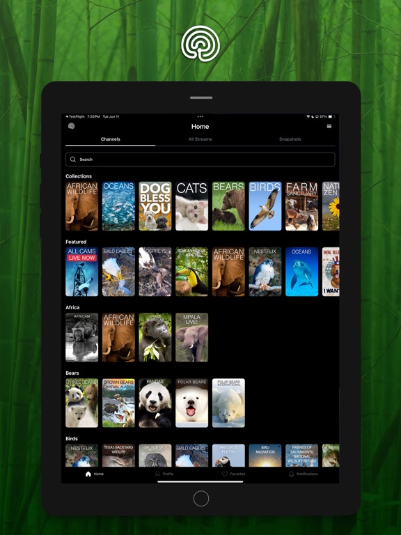 Explore.org: Live Animal Cams screenshot 3