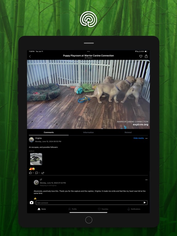 Explore.org: Live Animal Cams screenshot 1