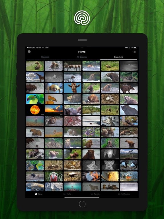 Explore.org: Live Animal Cams screenshot 2