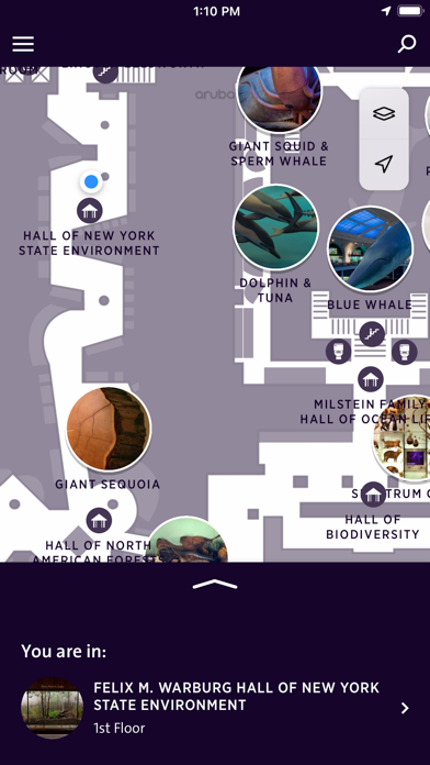 Explorer - AMNH NYC screenshot 3