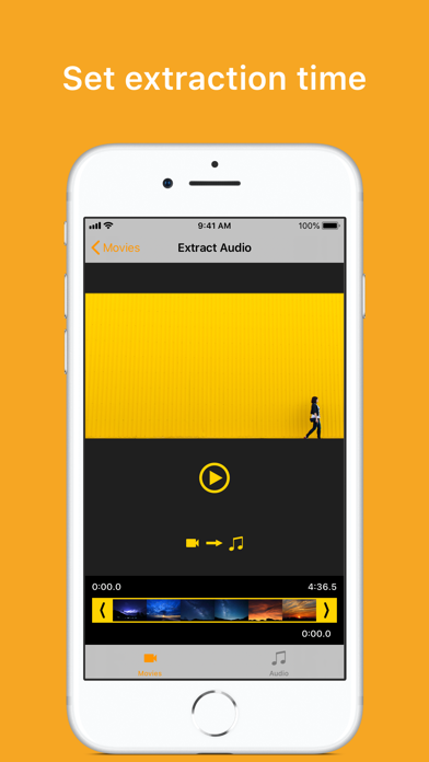 Export Audio screenshot 3