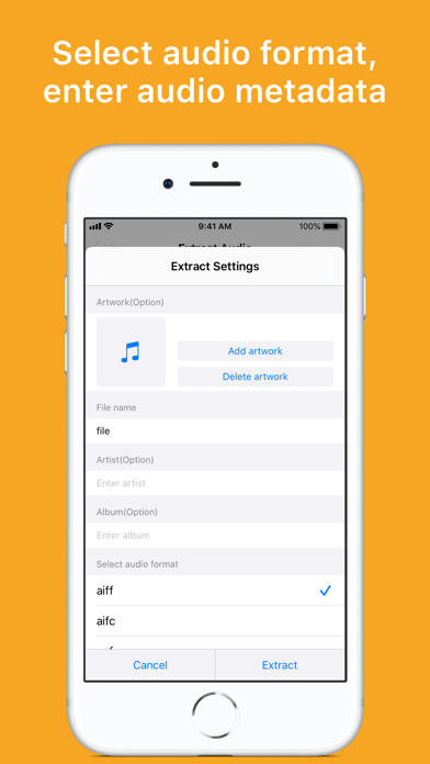 Export Audio screenshot 2