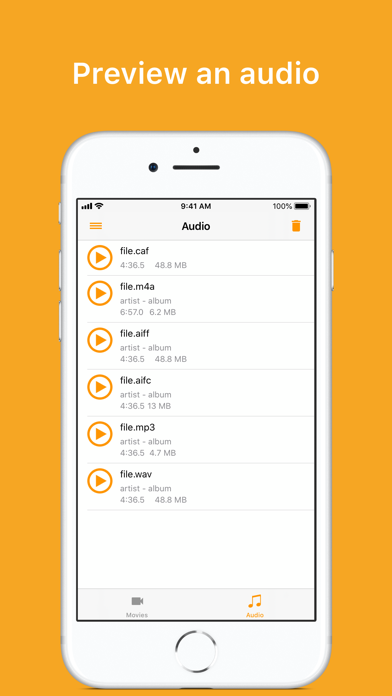Export Audio screenshot 1