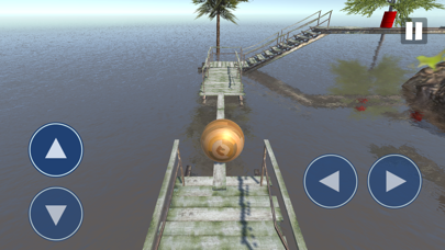 Extreme Balancer 2 screenshot 1