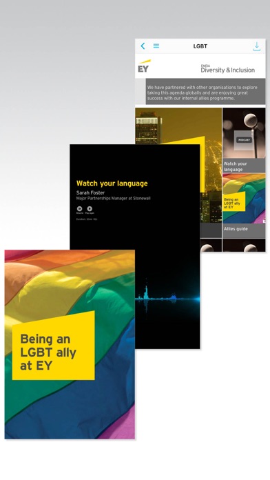 EY EMEIA Diversity and Inclusion screenshot 2