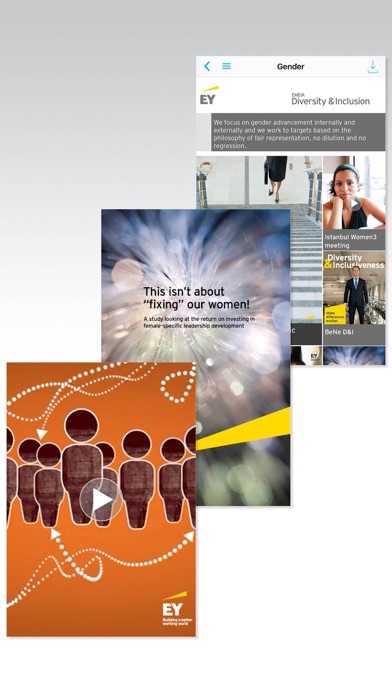 EY EMEIA Diversity and Inclusion screenshot 4