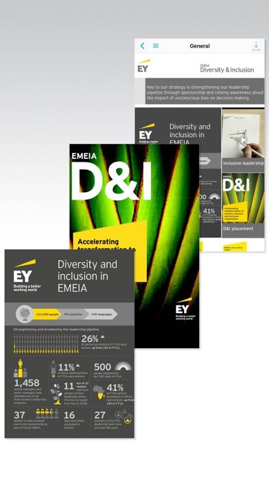 EY EMEIA Diversity and Inclusion screenshot 3