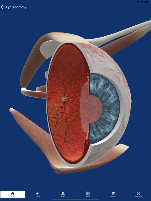 Eye Patient screenshot 3