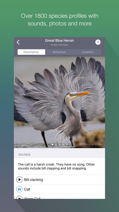 EyeLoveBirds: Bird Checklists screenshot 5