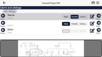 f-tree screenshot 4