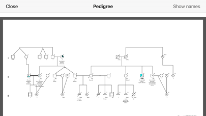 f-tree screenshot 3
