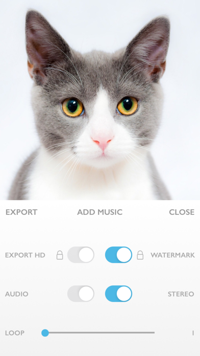FaceTrax screenshot 1