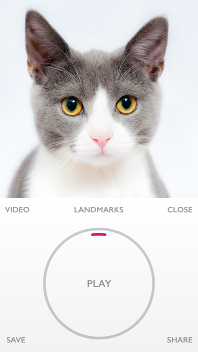 FaceTrax screenshot 2
