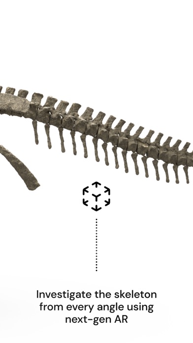 Famous Fossil screenshot 2