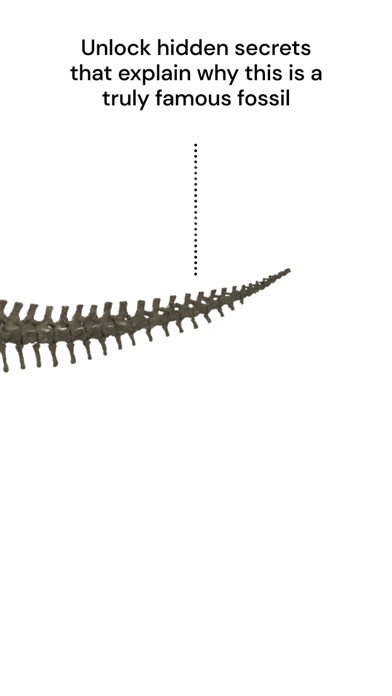 Famous Fossil screenshot 1