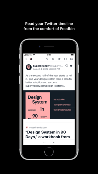 Feedbin screenshot 2