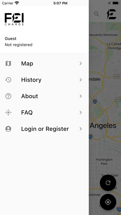 FEICharge screenshot 2