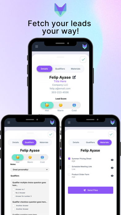 Fetch Leads screenshot 2